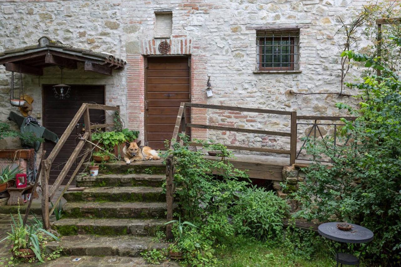 Il Poggio Degli Scoiattoli Couette-café *