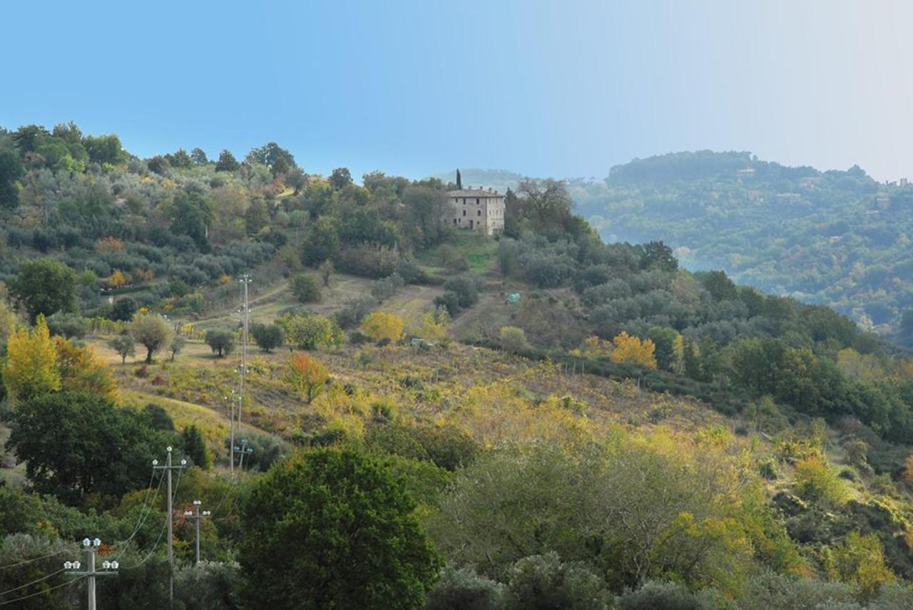 Il Poggio Degli Scoiattoli Frühstückspension *
