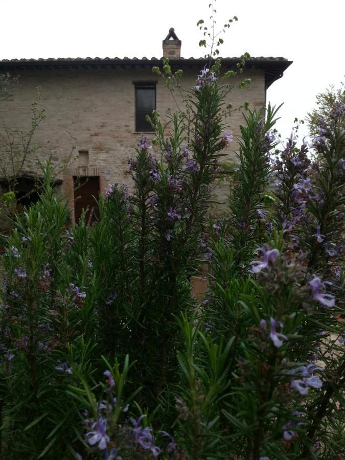 Frühstückspension Il Poggio Degli Scoiattoli Perugia