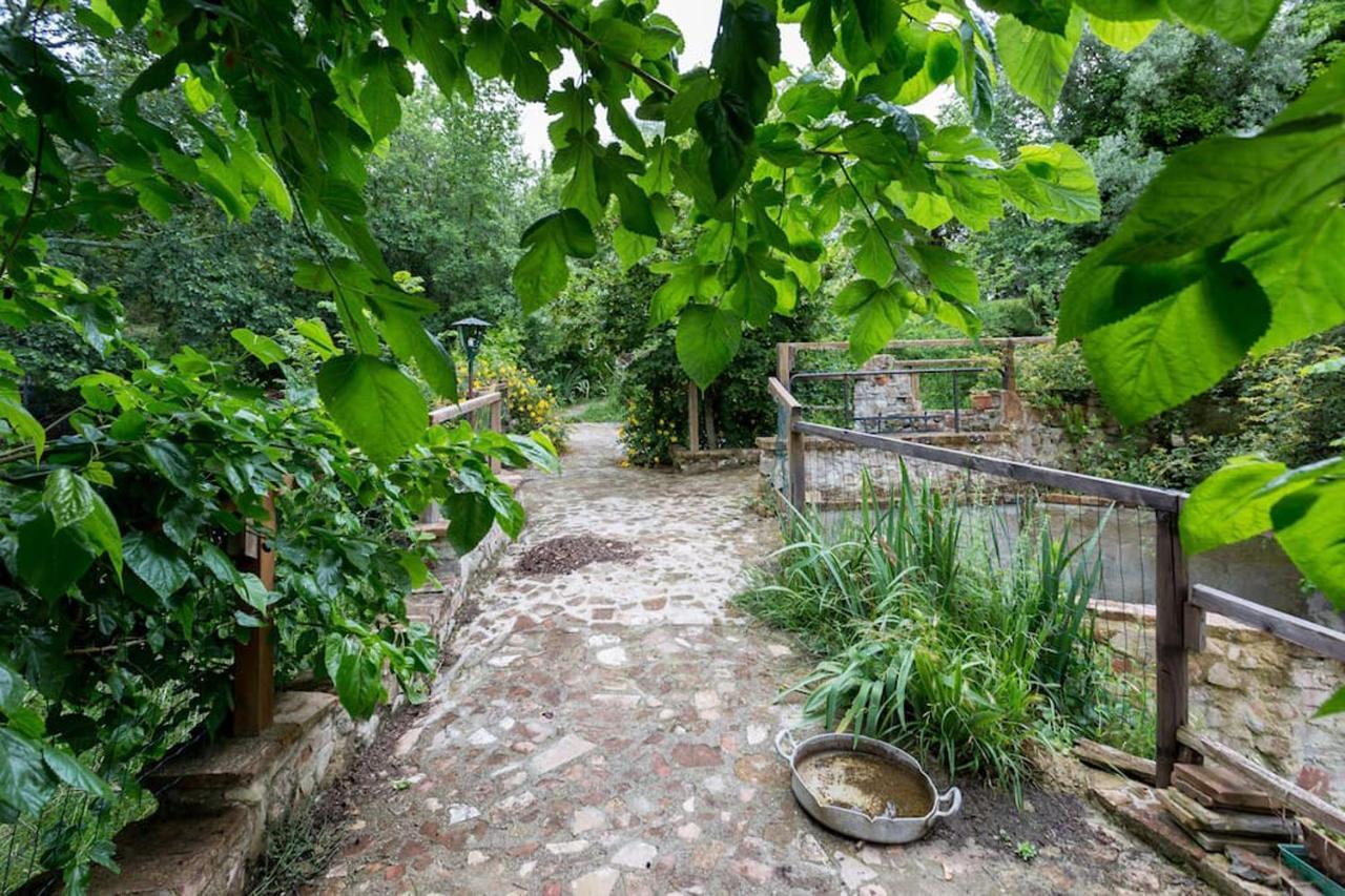 Il Poggio Degli Scoiattoli * Perugia